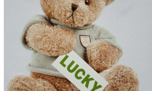 恒升燙畫(huà)推出新產(chǎn)品——超柔燙畫(huà) 恒升燙畫(huà)推出新產(chǎn)品——超柔燙畫(huà)